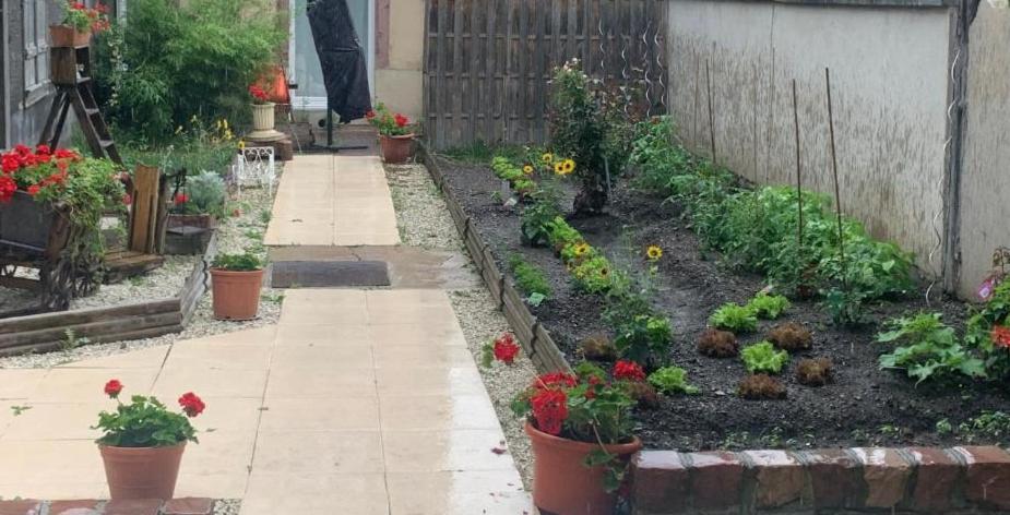 Maison Avec Terrasse Colmar Centre-Cottage Garden Terrace Center Old Town קולמר מראה חיצוני תמונה