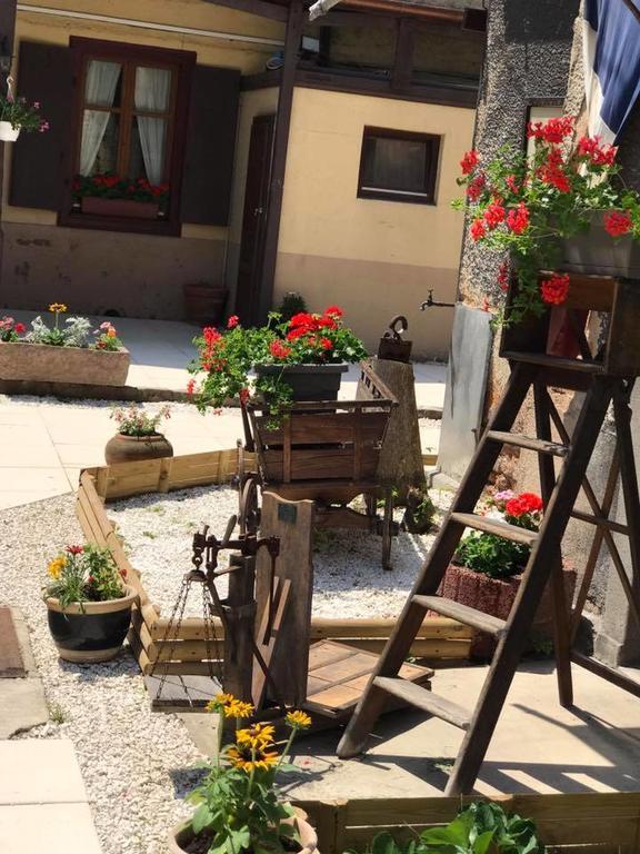 Maison Avec Terrasse Colmar Centre-Cottage Garden Terrace Center Old Town קולמר מראה חיצוני תמונה