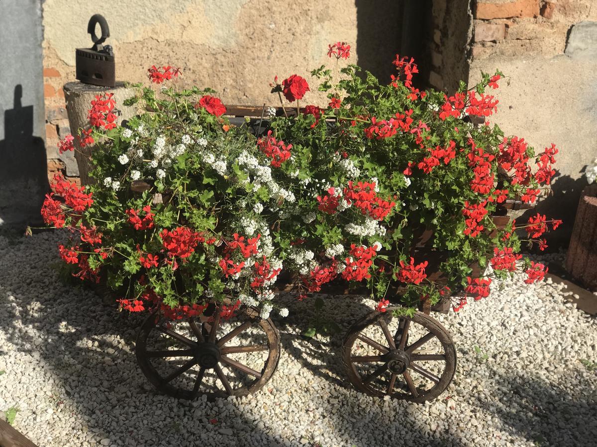 Maison Avec Terrasse Colmar Centre-Cottage Garden Terrace Center Old Town קולמר מראה חיצוני תמונה