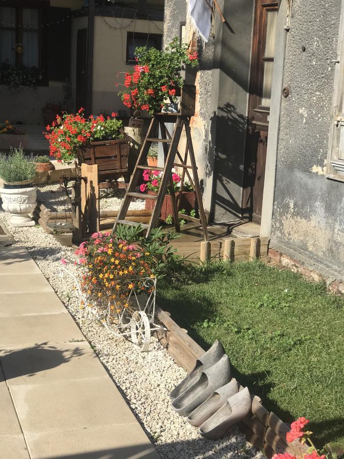 Maison Avec Terrasse Colmar Centre-Cottage Garden Terrace Center Old Town קולמר מראה חיצוני תמונה